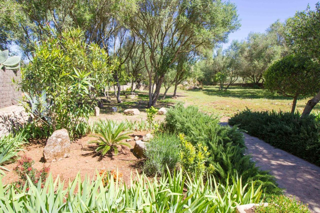Preciosa Finca Rustica Con A/C Y Piscina Exclusiva อัลไกดา ภายนอก รูปภาพ