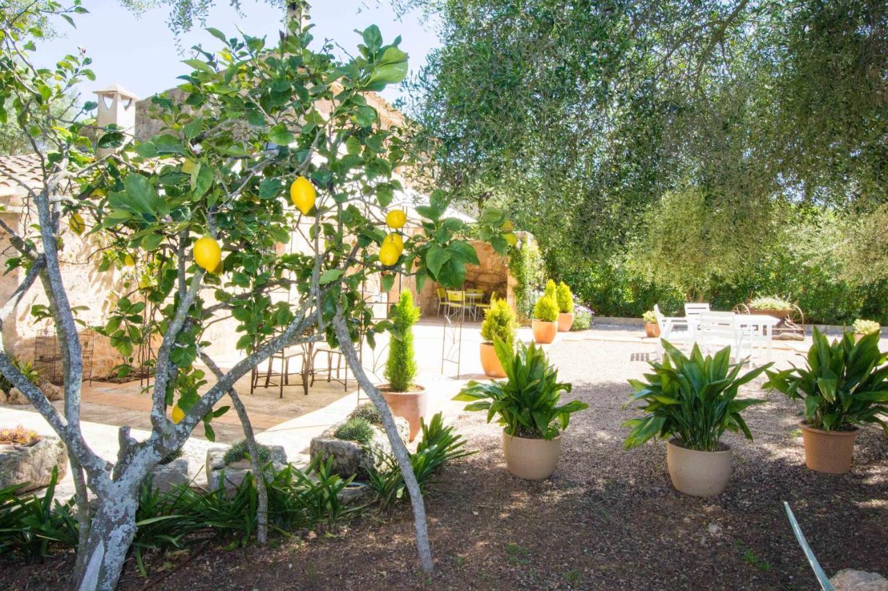 Preciosa Finca Rustica Con A/C Y Piscina Exclusiva อัลไกดา ภายนอก รูปภาพ