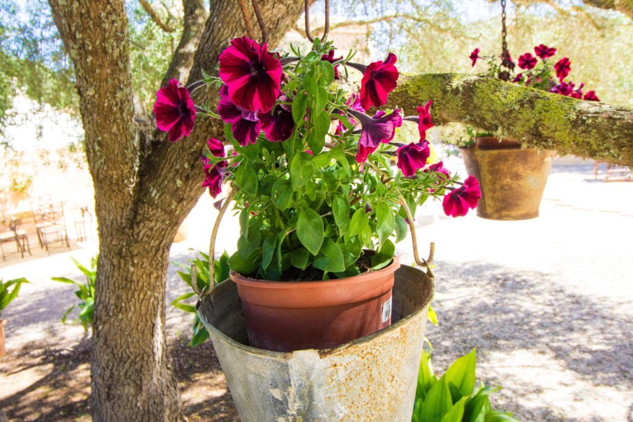 Preciosa Finca Rustica Con A/C Y Piscina Exclusiva อัลไกดา ภายนอก รูปภาพ